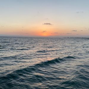 Meet your Posher, Miranda